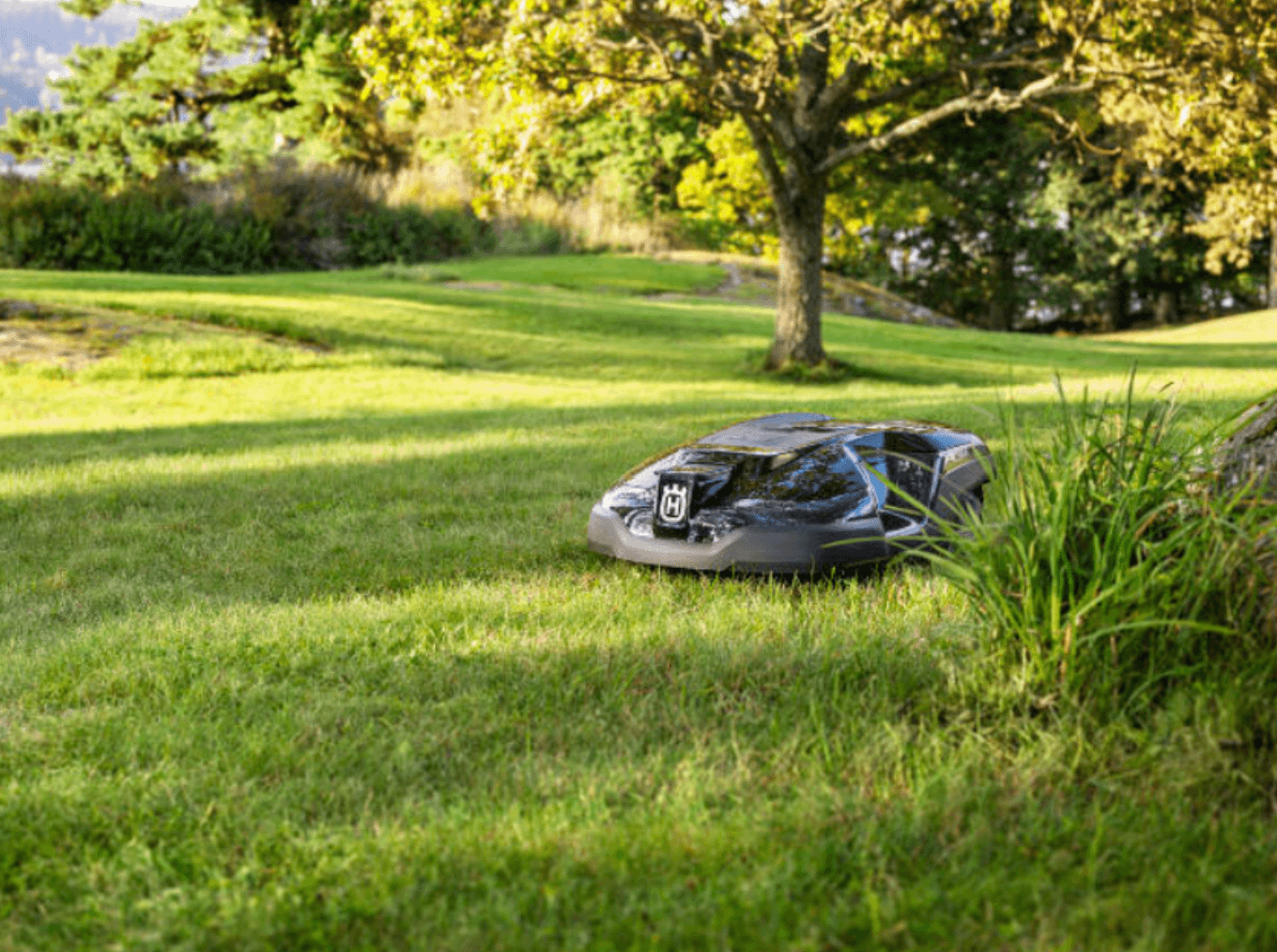 automatic robotic mower